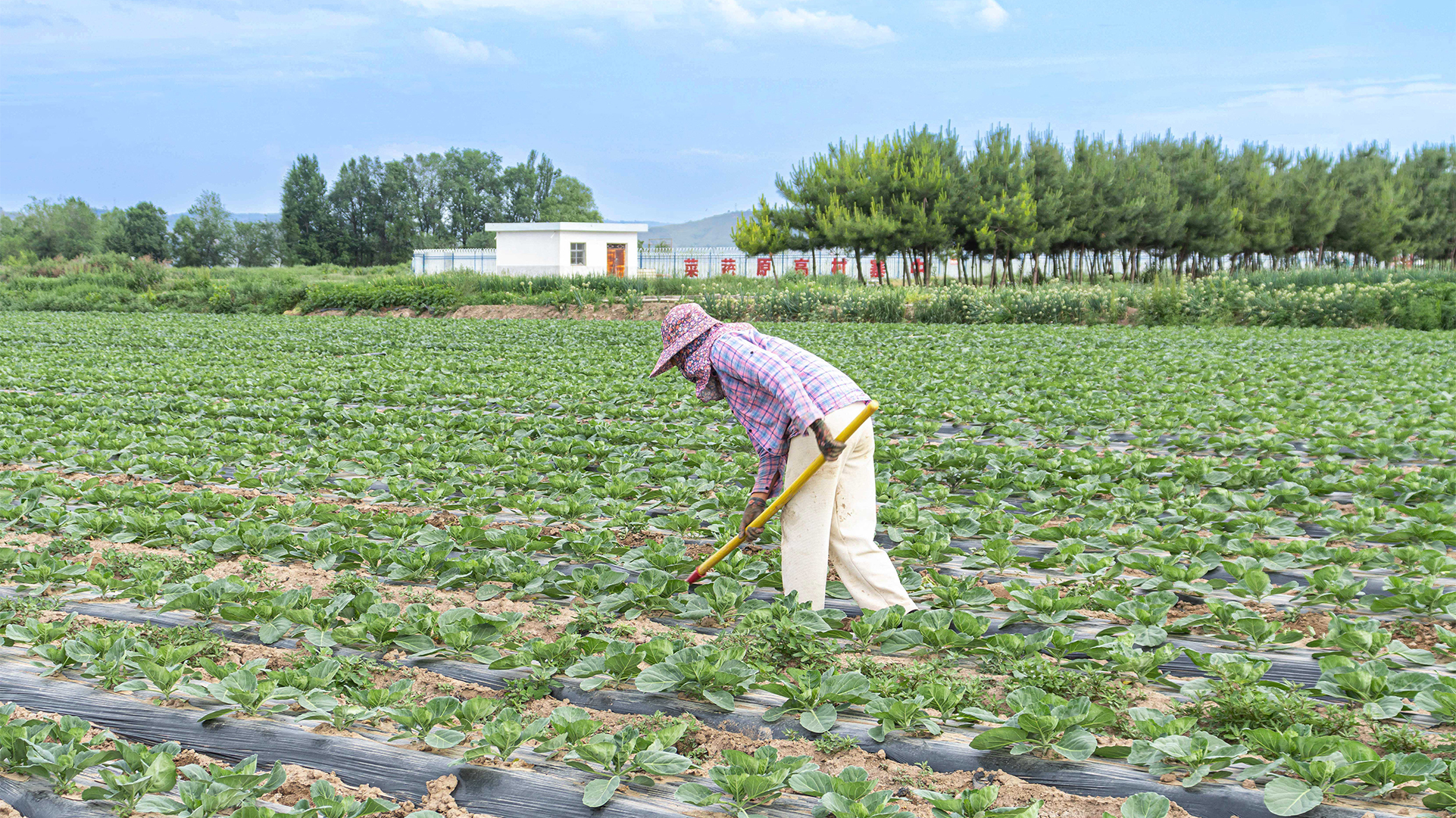 基地(dì)實拍(pāi)